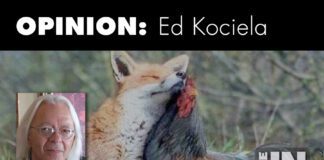 The Chickens Are Running The Fox House Fox News