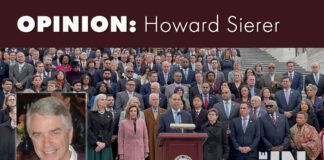 Good Advice for the Democratic (and Republican) Party Democratic