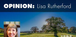 Clean the Darn Air Is Worth a Vote Clean Air