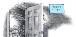 Editorial Cartoon: Fauci COVID Record Fauci COVID Record - By Dick Wright