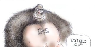 Editorial Cartoon: IRS Weaponized IRS Weaponized - By Dick Wright