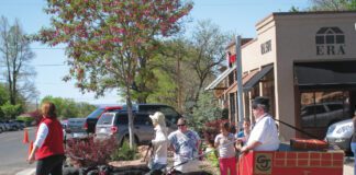 Heavy Petting With Sighthound Shivoo Hounds