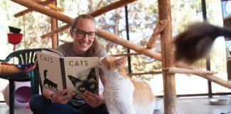 Spectacular Summer Fun with Best Friends Best Friends Animal Sanctuary