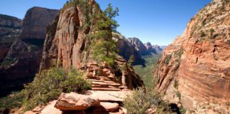 Apply To Hike Angels Landing In May Angels Landing