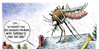 Editorial Cartoon: Big Mosquito Problem? Big Mosquito Problem - By Dave Granlund