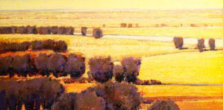 Sears Museum Honors Founder’s Vision Sears Museum