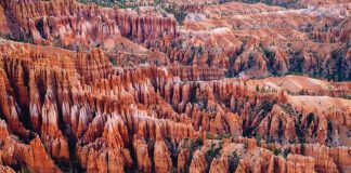 The Canyons Are Calling Escalante Canyons Arts Festival