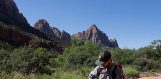 Protecting native plants during your Zion National Park visit Zion National Park