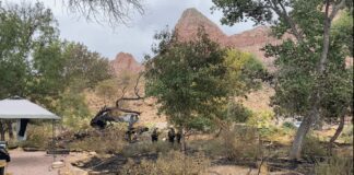 Interagency Team successfully contains Watchman Campground Fire at Zion National Park Watchman Campground