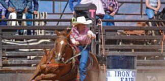 The Fair Is Revin’ Up And About To Kick Off In Iron County Iron County Fair