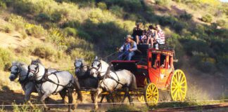 Southern Utah Events Guide