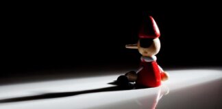 Reality Beckons, Stop the Lying big lie