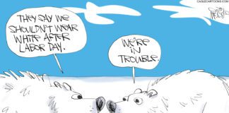 Editorial Cartoon: Polar Bear Fashion Polar Bear Fashion - By Gary McCoy