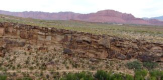 Black Brush Trail Black Brush Trail