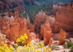 Autumn Changes at Bryce Canyon National Park Bryce Canyon