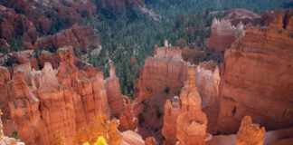 Autumn Changes at Bryce Canyon National Park Bryce Canyon