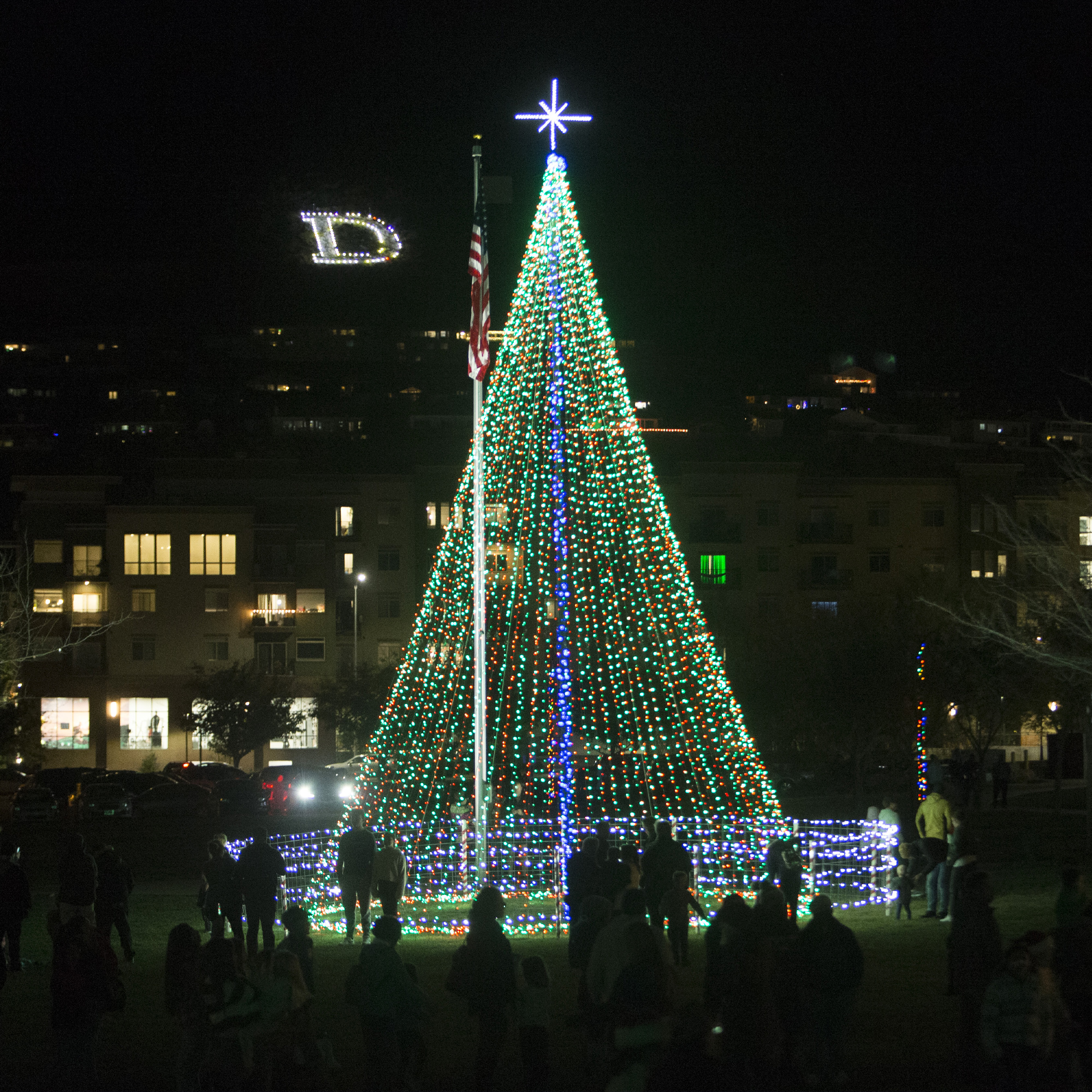 Annual Christmas Light Reveal