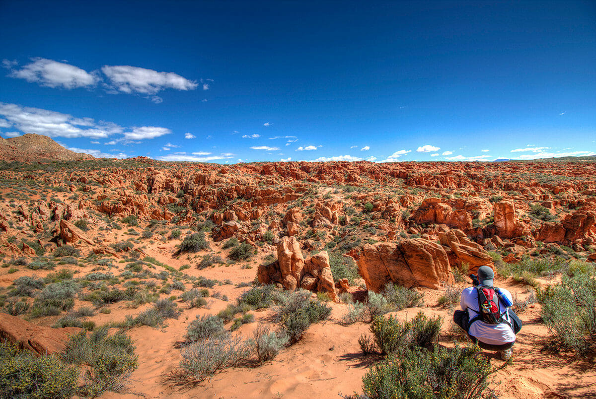 Red Cliffs National Conservation Area