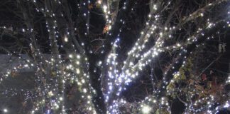 Light The Night – Tradition Brings Community Together In St. George, Utah St. George Art Museum