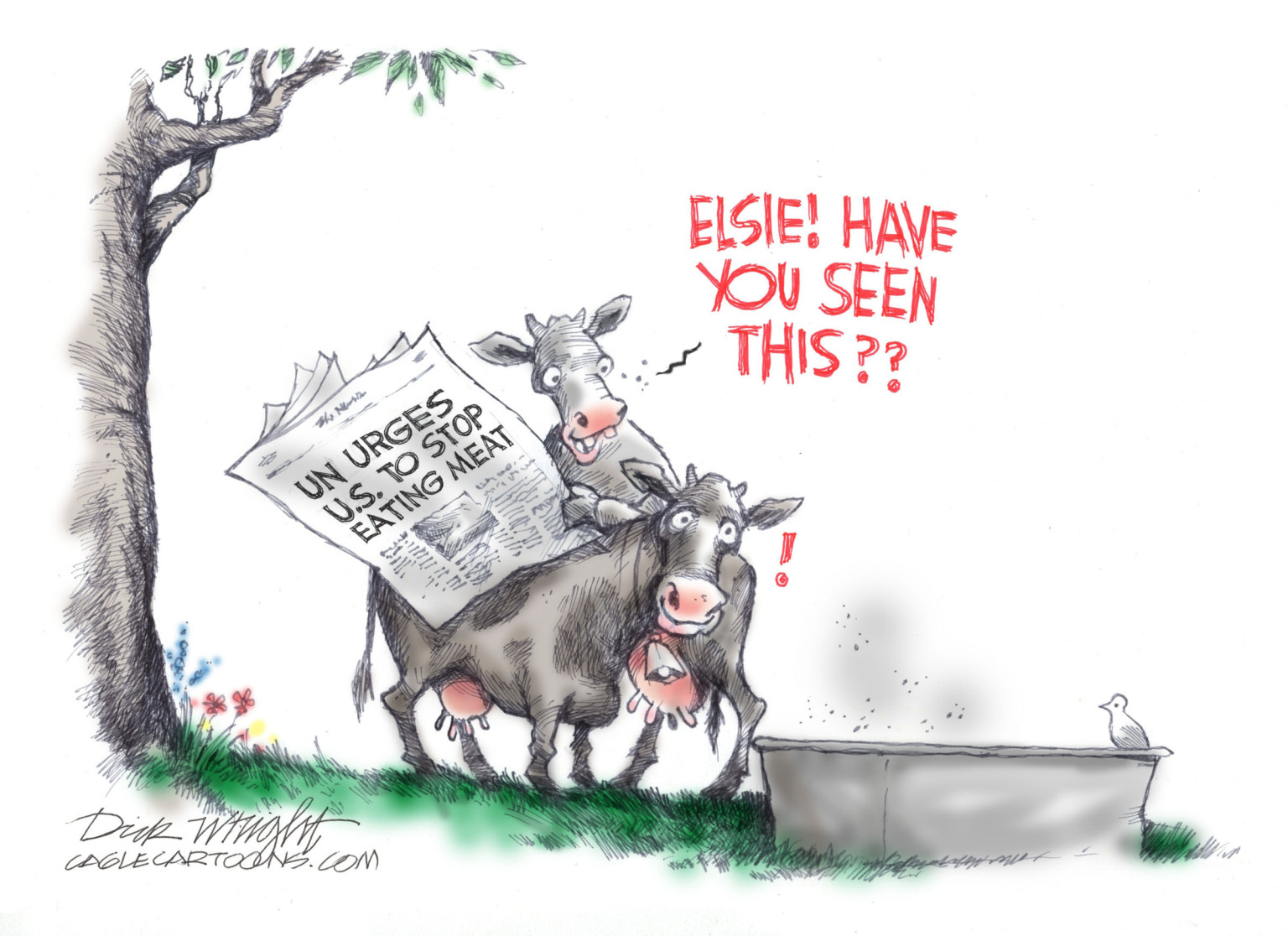 UN and Beef - By Dick Wright