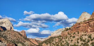 Shuttle Bus Service Continues Through December 31st at Zion National Park Zion Shuttle Bus