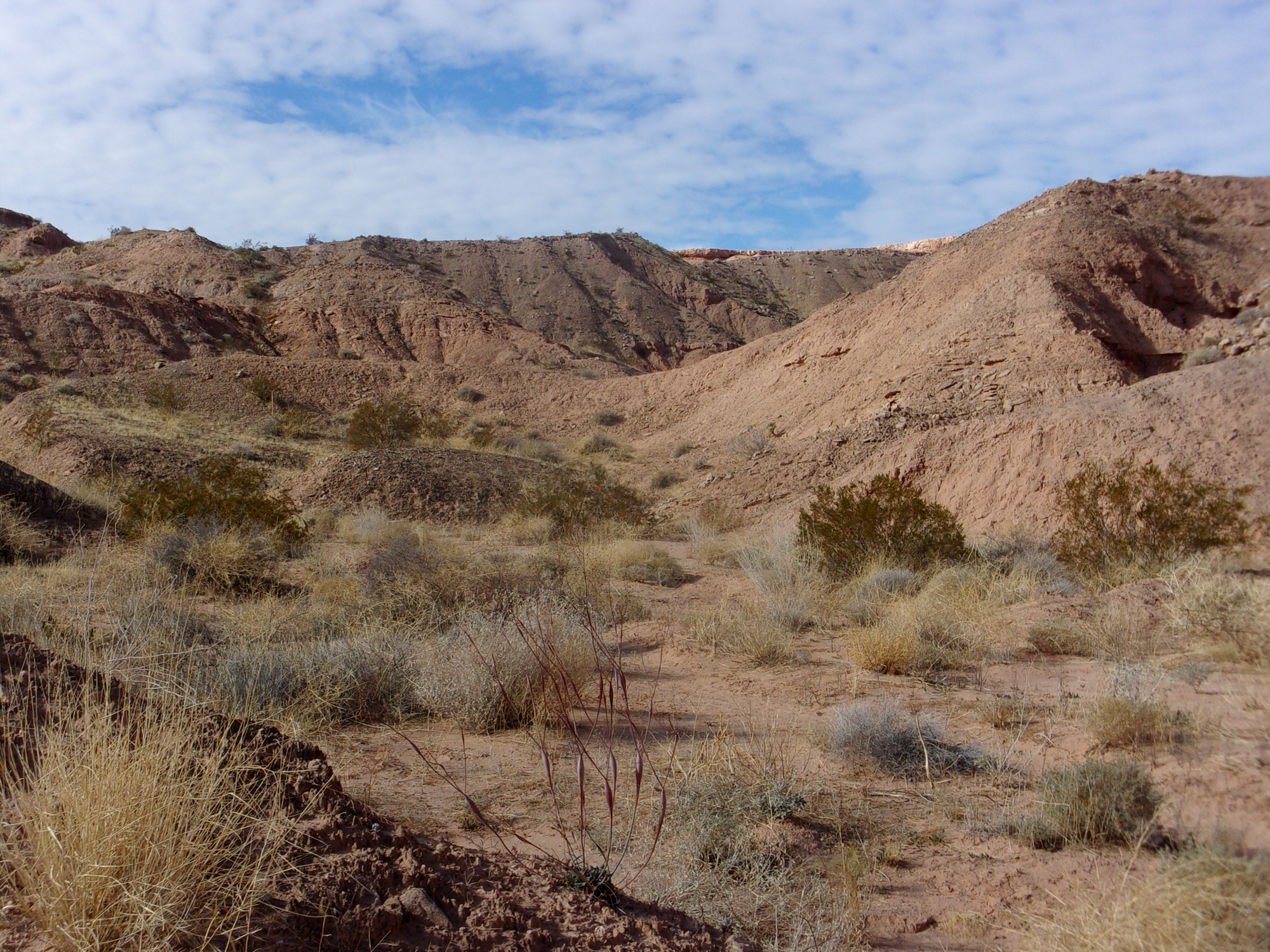 Foothills Trail in Mesquite, Nevada