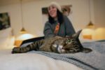 Discover a Winter Wonderland at Best Friends Animal Sanctuary Best Friends Animal Sanctuary
