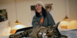 Discover a Winter Wonderland at Best Friends Animal Sanctuary Best Friends Animal Sanctuary