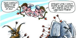 Editorial Cartoon: No Love For Valentine’s Day No Love For Valentine's Day - By Dave Whamond