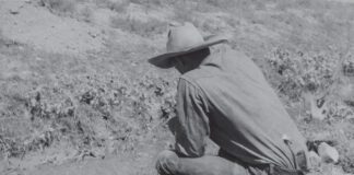 Three New Art Exhibitions Are Sure To Delight And Dazzle