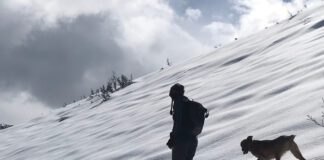 Recreating outdoors with your pet? Keep dogs on a leash so they don’t chase or disturb wildlife Leash Your Dogs