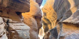 Kanab’s Top 5 Non-Technical Slot Canyons Everyone Can Enjoy Dreamland Safari Tours