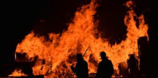 As Summer Approaches, We Need Your Help To Prevent Wildfires