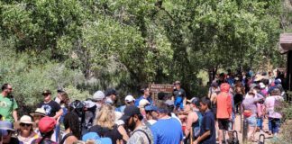 Prepare For a Busy Memorial Day Weekend at Zion National Park Zion Memorial Day Weekend