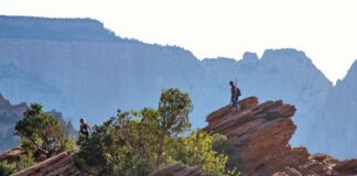 Zion Forever Project 2024 Field Guide Zion Forever Project 2024 Field Guide