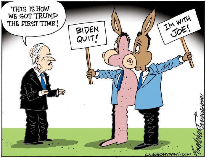 Editorial Cartoon: Democrats Are Split - The Independent | News Events ...