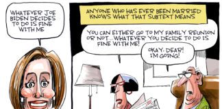Editorial Cartoon: The Pelosi Subtext The Pelosi Subtext - By Dave Whamond