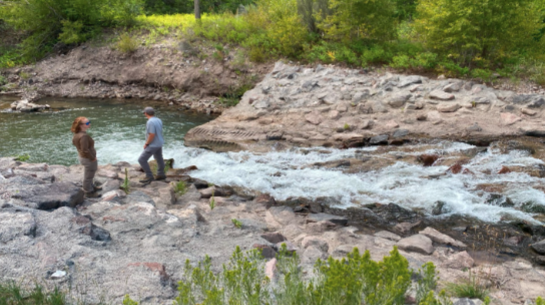 Cutthroat Trout Restoration