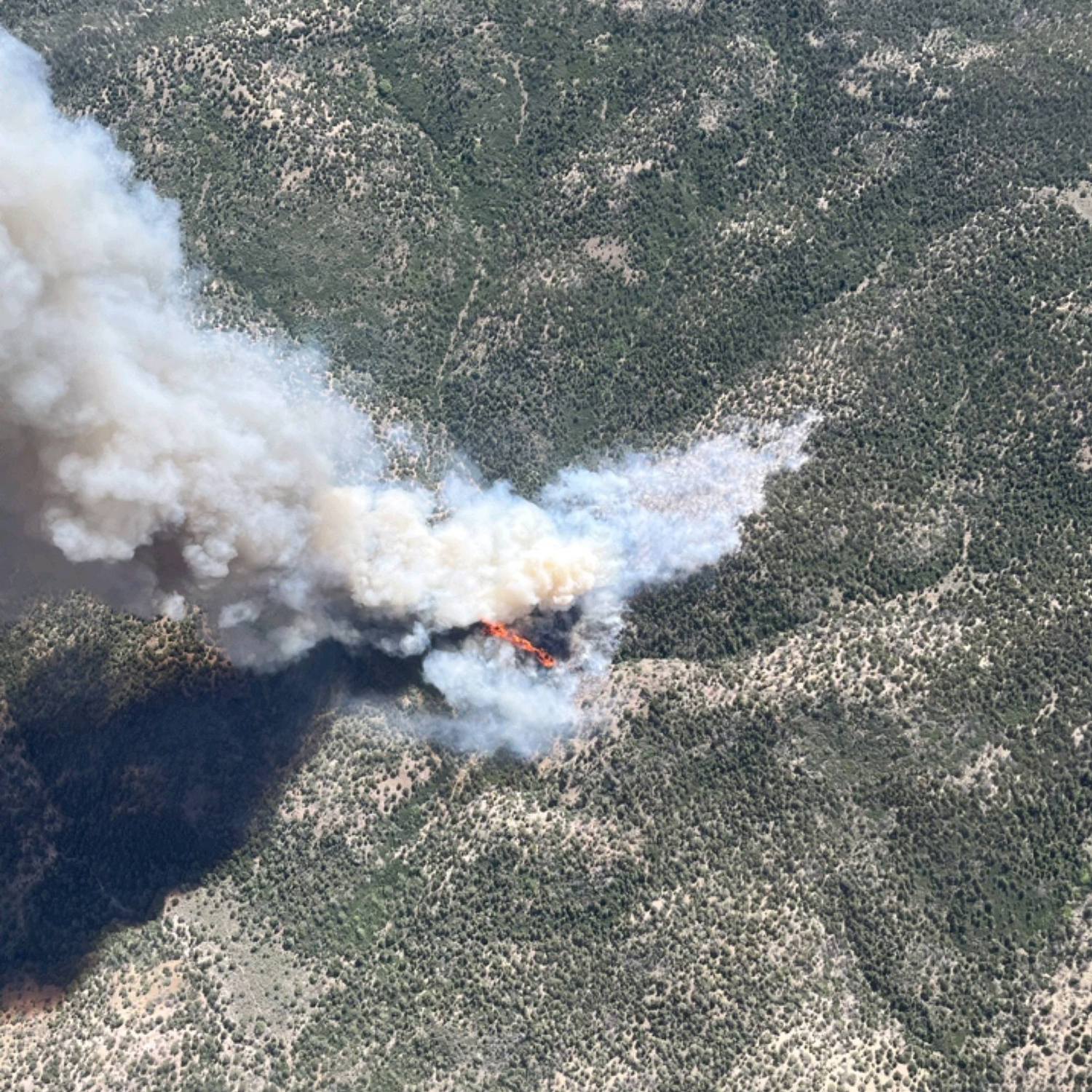 Iron Peak Fire