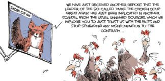 Editorial Cartoon: Chicken Coup News Chicken Coup News - By Rivers