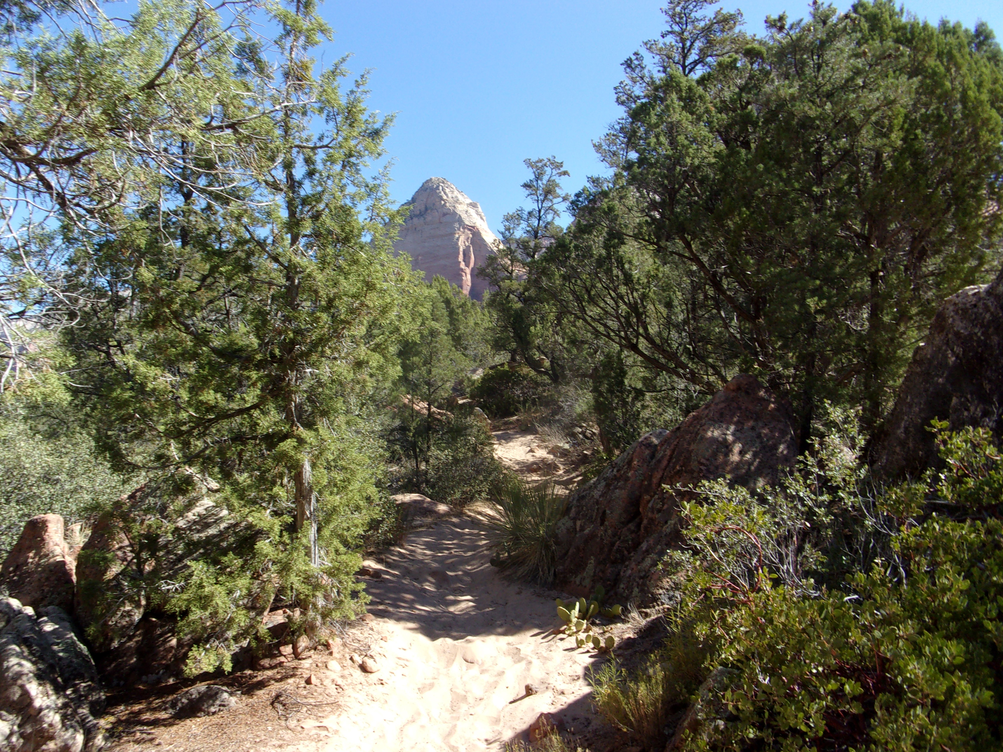 Sand Bench Trail