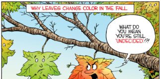 Editorial Cartoon: Why Leaves Change Leaves in Trees Why Leaves Change Leaves in Trees - By Christopher Weyant