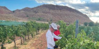 Experience Utah Wine Country at Zion Vineyards Zion Vineyards