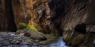 David J. West – A Photographer Inspired By Nature David J. West