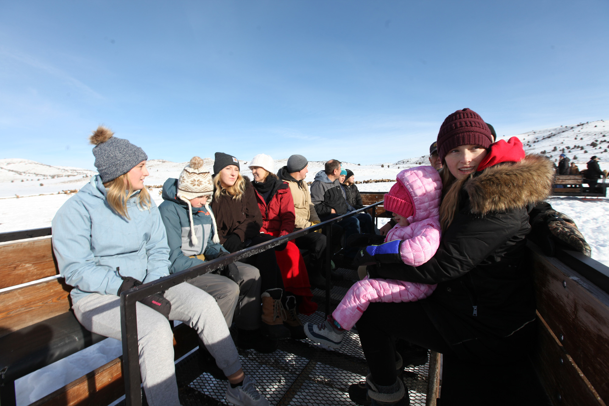 Sleigh Rides Through Elk