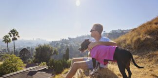 There’s One Thing Americans Can Still Agree On – We’re Thankful For Our Pets Best Friends Animal Society