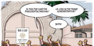 Editorial Cartoon: Trump Turkeys Line Up For Pardons and Jobs Trump Turkeys Line Up For Pardons and Jobs - By R.J. Matson