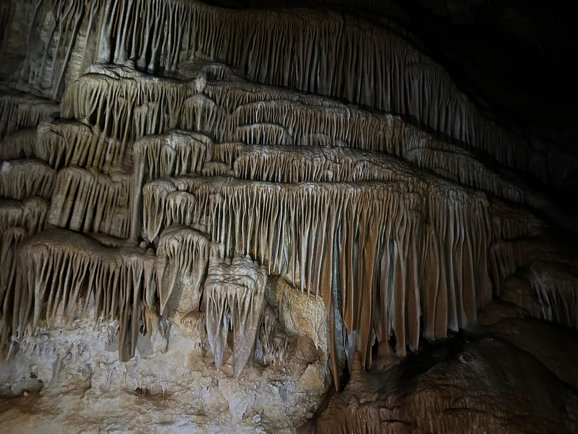 Ice Age Fox Found In Utah Cave