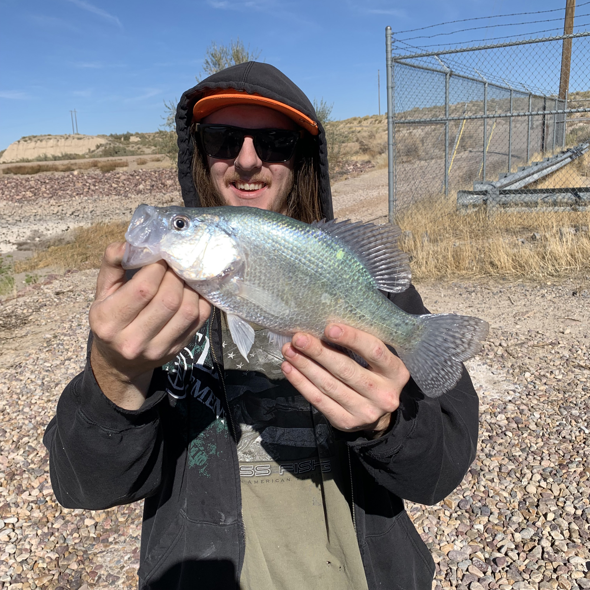 Seven New Utah Fishing Records Set In 2024 - The Independent | Southern ...