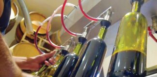 Welcome to Utah Wine Country At Zion Vineyards ZionVines.com